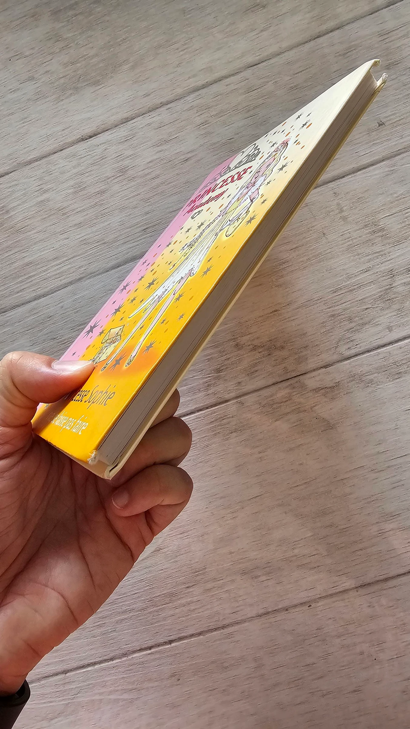 Tome 5 _ princesa acadamy – photo 4